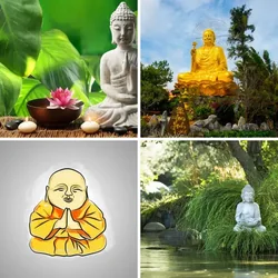 4 Bilder 1 Wort Level 2172 Bilder