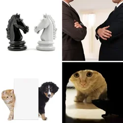 4 Bilder 1 Wort Level 2197 Bilder