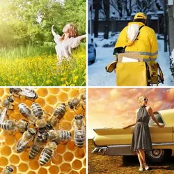 4 Bilder 1 Wort Level 221 Bilder