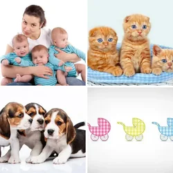 4 Bilder 1 Wort Level 2253 Bilder