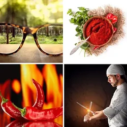 4 Bilder 1 Wort Level 2259 Bilder