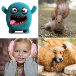 4 Bilder 1 Wort Level 2266 Bilder