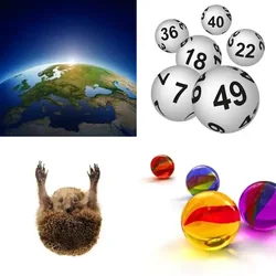 4 Bilder 1 Wort Level 227 Bilder