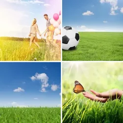 4 Bilder 1 Wort Level 2271 Bilder