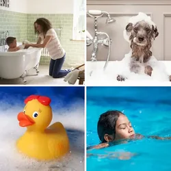 4 Bilder 1 Wort Level 2276 Bilder