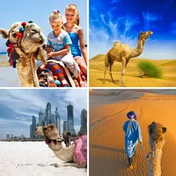 4 Bilder 1 Wort Level 2294 Bilder