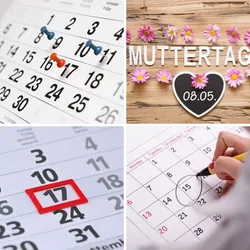4 Bilder 1 Wort Level 2311 Bilder