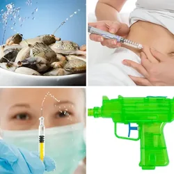 4 Bilder 1 Wort Level 2345 Bilder