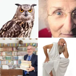 4 Bilder 1 Wort Level 2347 Bilder