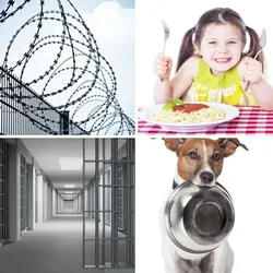 4 Bilder 1 Wort Level 2415 Bilder