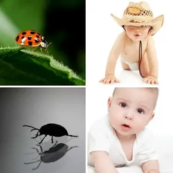 4 Bilder 1 Wort Level 2418 Bilder