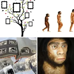 4 Bilder 1 Wort Level 2426 Bilder