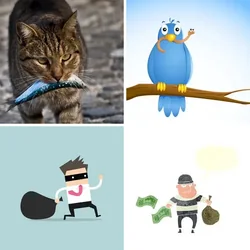 4 Bilder 1 Wort Level 2444 Bilder