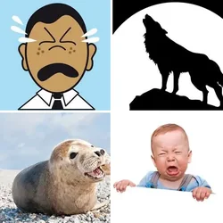 4 Bilder 1 Wort Level 246 Bilder