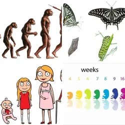 4 Bilder 1 Wort Level 2488 Bilder