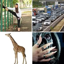 4 Bilder 1 Wort Level 249 Bilder