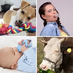 4 Bilder 1 Wort Level 2506 Bilder