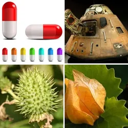 4 Bilder 1 Wort Level 251 Bilder