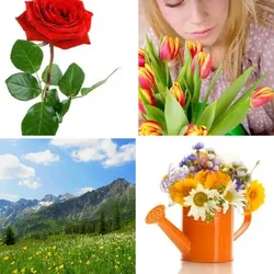 4 Bilder 1 Wort Level 2523 Bilder