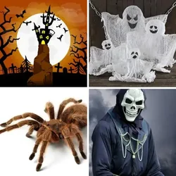 4 Bilder 1 Wort Level 2545 Bilder