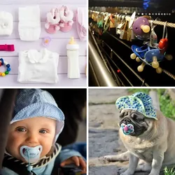 4 Bilder 1 Wort Level 2548 Bilder