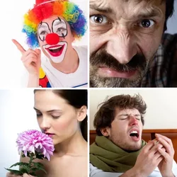 4 Bilder 1 Wort Level 2554 Bilder