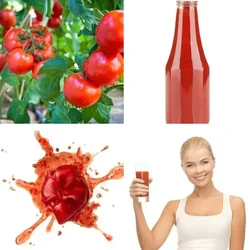 4 Bilder 1 Wort Level 2556 Bilder