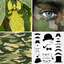 4 Bilder 1 Wort Level 2567 Bilder