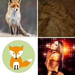4 Bilder 1 Wort Level 2613 Bilder