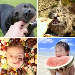 4 Bilder 1 Wort Level 2629 Bilder