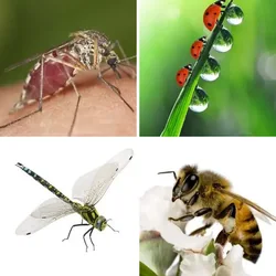 4 Bilder 1 Wort Level 263 Bilder