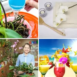 4 Bilder 1 Wort Level 2638 Bilder