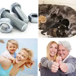 4 Bilder 1 Wort Level 264 Bilder