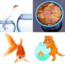 4 Bilder 1 Wort Level 2703 Bilder