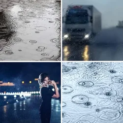 4 Bilder 1 Wort Level 2715 Bilder