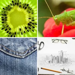 4 Bilder 1 Wort Level 2716 Bilder