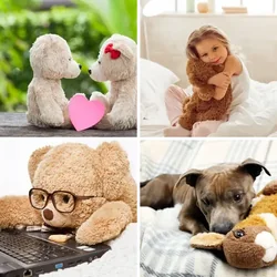4 Bilder 1 Wort Level 2726 Bilder