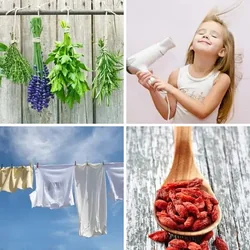 4 Bilder 1 Wort Level 2754 Bilder