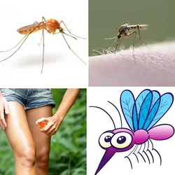 4 Bilder 1 Wort Level 2764 Bilder