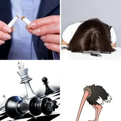 4 Bilder 1 Wort Level 279 Bilder