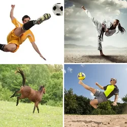4 Bilder 1 Wort Level 2794 Bilder
