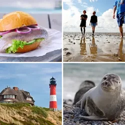 4 Bilder 1 Wort Level 2808 Bilder