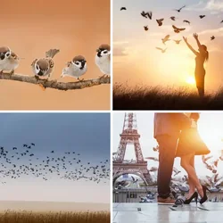 4 Bilder 1 Wort Level 2841 Bilder