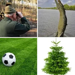 4 Bilder 1 Wort Level 286 Bilder