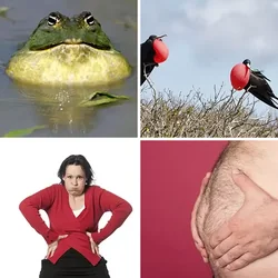 4 Bilder 1 Wort Level 2862 Bilder