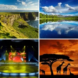 4 Bilder 1 Wort Level 2869 Bilder