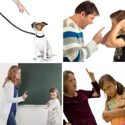 4 Bilder 1 Wort Level 2877 Bilder
