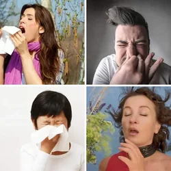 4 Bilder 1 Wort Level 2898 Bilder