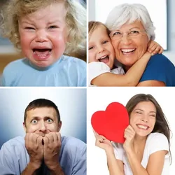 4 Bilder 1 Wort Level 2901 Bilder