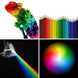 4 Bilder 1 Wort Level 2905 Bilder